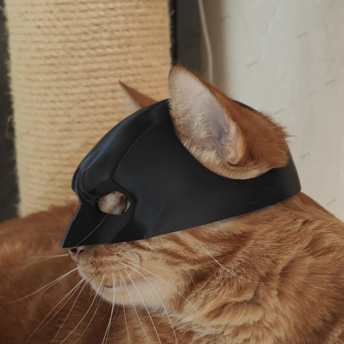 Máscara Batman para Gato