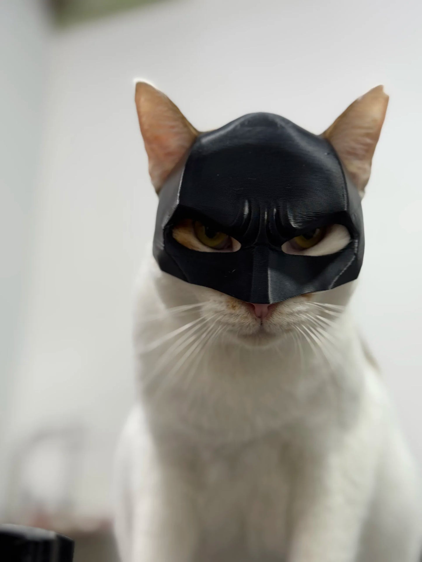 Máscara Batman para Gato