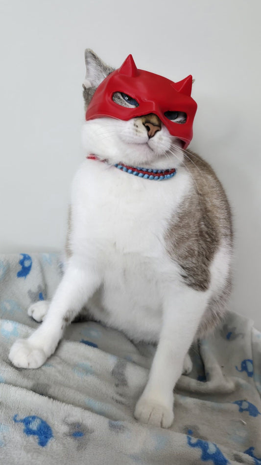 Máscara Daredevil para Gato